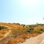 Flora Nerja