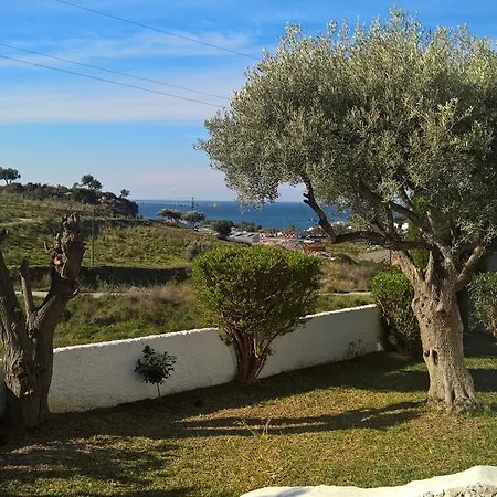 Flora Villa *